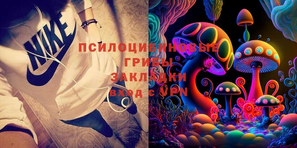 ГАЛЛЮЦИНОГЕННЫЕ ГРИБЫ Алзамай
