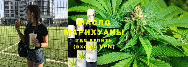 индика Абаза
