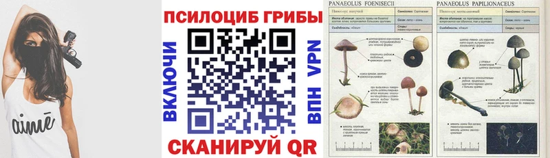 что такое   Ядрин  Галлюциногенные грибы GOLDEN TEACHER 