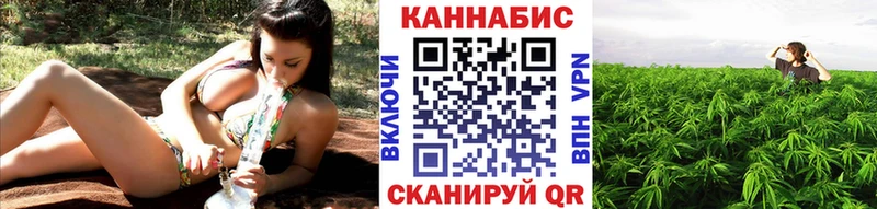 Бошки Шишки ГИДРОПОН  дарк нет официальный сайт  Ядрин 